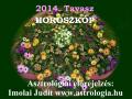 Mit �g�rnek a csillagok 2014. Tavaszra