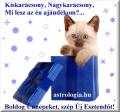 Aj�nd�kid� az astrologia.hu-n!
