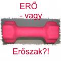 Er� vagy Er�szak