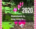 Ny�ri asztrol�giai progn�zis 2020