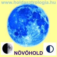 Cicabosszant� id�k - h�zol, vagy gazdagodsz?!