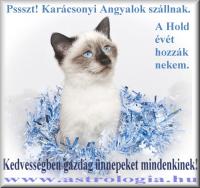 Kar�csonyi Horoszk�p 2012