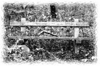 M�g mindig pihen�s